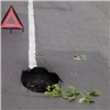 «Мог провалиться сам!»: в центре Красноярска появилась яма в асфальте