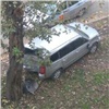 В Красноярске пьяный водитель врезался в дерево недалеко от школы