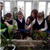 В красноярской школе особенные ученики ставят спектакли и высаживают цветы