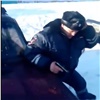 Следователи решили наказать селян за нападение на полицейского с ледовым буром
