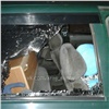 Неизвестные массово побили стёкла машин в Солнечном