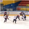 Ветераны красноярского хоккея сыграют гала-матч в честь Валерия Харламова