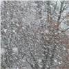 Снег, метель и сильный ветер задержатся в Красноярске еще на день