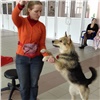 Еще одна красноярская школа присоединилась к уникальному «собачьему» проекту