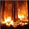 Первый лесной пожар ликвидировали в Красноярском крае