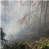 В заповеднике «Столбы» в выходные потушили два лесных пожара