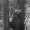 Самое интересное в Красноярске за 16 октября: «Медведь-призрак» и жуткие истории из роддомов