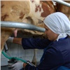 Красноярский край вошел в топ-20 российских регионов по производству молока