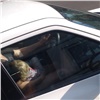 «С ребёнком на руках»: полиция за сутки вычислила автоледи-нарушительницу по фото из соцсетей (видео)