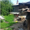 Двое детей в Красноярске жили среди чужих людей и грязи. Полиция изъяла их и начала проверку (видео)