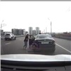 Автоледи спасла котёнка на красноярском Октябрьском мосту (видео)