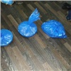 В Красноярске полиция устроила облаву на очередных наркодилеров: изъято 6 кг «синтетики» (видео)