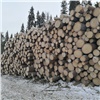Хитрый красноярский бизнесмен незаконно вырубил деревья на западе края и теперь может сесть на 7 лет