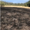 Под Красноярском местный житель устроил большой пожар ради «озеленения леса»