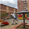 Управляющие компании Красноярска показали, как проводится дезинфекция подъездов и дворов в период пандемии