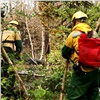 В Красноярском крае снова увеличивается площадь лесных пожаров. В Эвенкии ввели режим ЧС в лесах