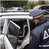 В Красноярске полиция устроила масштабный рейд по проверке безопасности детей в автомобилях (видео)