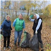 Участники экомарафона «День реки» собрали 11 тонн мусора 