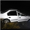 На трассе Ачинск-Бирилюссы Honda столкнулась с лосем: двое человек погибли 