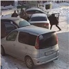 В Красноярске поймали двух автоворов: орудовали на правом берегу (видео)