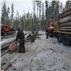 Житель Канска спилил деревьев на 700 тысяч рублей: теперь ему грозит 7 лет тюрьмы