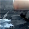 «Экологическое преступление»: в Нижнеингашском районе ассенизаторские машины поймали на сливе отходов в реку (видео)
