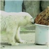 Приехавшей из Красноярского края в Москву белой медведице выбирают имя (видео)