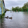 «Достигли пика»: синоптики не прогнозируют еще большего подъема воды в реках на юге Красноярского края 