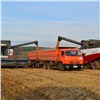 Хозяйства Красноярского края собрали больше миллиона тонн зерна