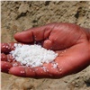 Красноярские ученые предложили использовать раствор соли для борьбы с сорняками