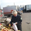 На красноярских рынках изъяли 16 тонн зараженных опасным вредителем фруктов и уничтожили их