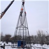 В Красноярске начали устанавливать новогодние ёлки
