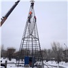 Последствия снегопада, установка ёлок и месяц в тайге: главные события в Красноярском крае за 26 ноября