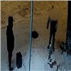 Красноярские подростки сломали фигурку совы в Солнечном. Родителей просят добровольно возместить ущерб (видео)