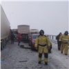 Массовые аварии заблокировали движение на «Путинском мосту» (видео)