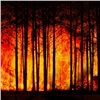 Штрафы за возгорания в лесах для граждан вырастут в 10 раз. Законопроект принят во втором чтении