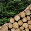Факт контрабанды древесины на 25 млн рублей выявили в Красноярском крае 