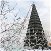 Монтажник в костюме Деда Мороза начал украшать гирляндами главную ёлку Красноярска 