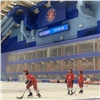 Красноярский министр спорта прокомментировал избиение детского тренера по хоккею 
