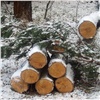 В Красноярском крае объем незаконно заготовленной древесины уменьшился на 30 %
