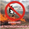 Еще в 9 территориях Красноярского края ввели особый противопожарный режим