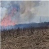 В Красноярске в районе Калинина вспыхнула сухая трава. Поджигателя разыскивают (видео)