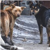 Госдума ввела штрафы за несоблюдение требований по содержанию животных