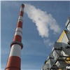 Председатель Общественного совета при Минприроды рассказал об «экологичном пути угольной генерации»