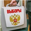 Жители Красноярского края могут стать общественными наблюдателями на выборах президента