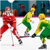 Хоккейный клуб «Енисей» вылетел из плей-офф чемпионата России