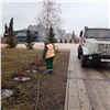 В Красноярске начали поливать высаженные в прошлом году деревья