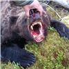 За убитого медведем подростка в «Ергаках»  осудили директора турфирмы 