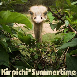 Кирпичи «Summertime»