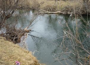 В Хакасии во время игры в протоке реки утонула 2-летняя девочка
